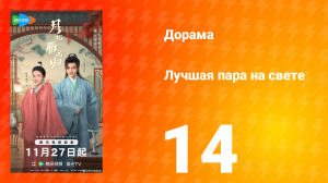 Лучшая пара на свете 14 серия
