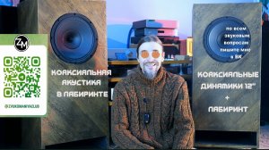 АКУСТИКА НА КОАКСИАЛЬНЫХ ДИНАМИКАХ В ЛАБИРИНТЕ