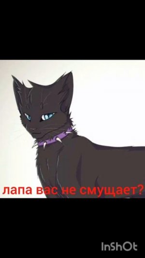 Эдит коты воители