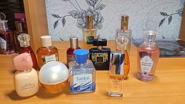 VID20251216153704 смотреть онлайн