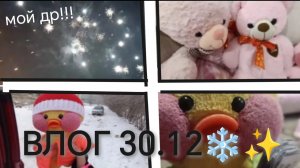 ВЛОГ МОЕГО ДНЯ РОЖДЕНИЯ?) 🎄 НАШ ДЕНЬ?) 🎀~