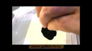 Галилео пуп и с Новым годом