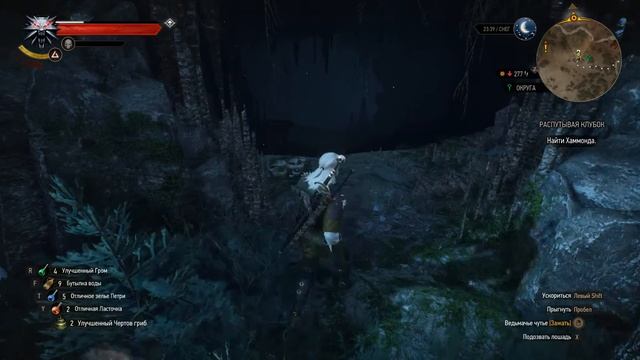 Ведьмак 3. Спирт для друидов, знакомство с Железной дев смотреть онлайн