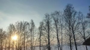 я тебя люблю.mp4