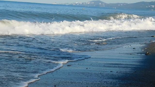 ВИДЕО  ПВН  ББ   (1489)