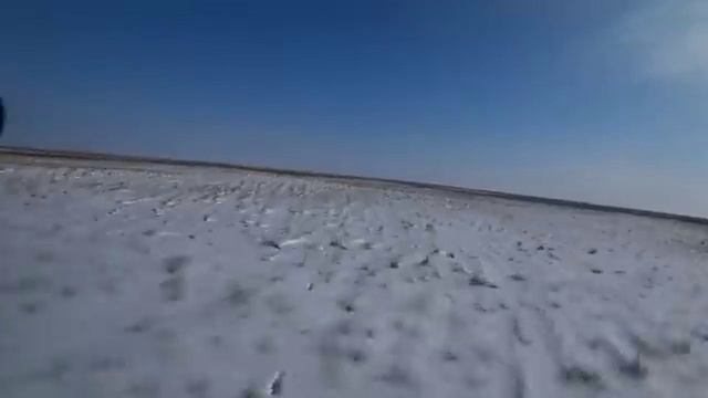 Охота на волков 2. смотреть онлайн