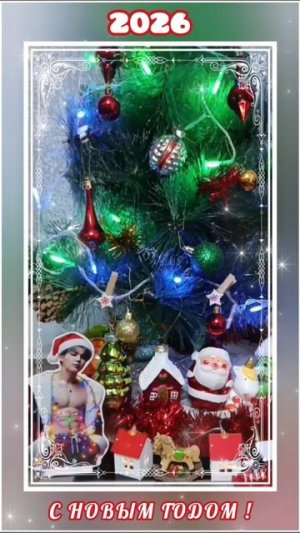 ❄️2026❄️(shorts)