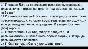 БЫТИЕ 1 ГЛАВА