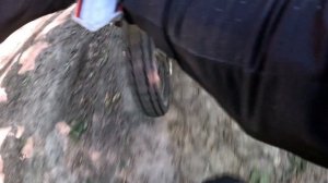 Прекрасное недалёко