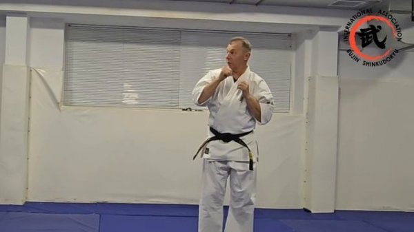 Йоко гери / Yoko Geri