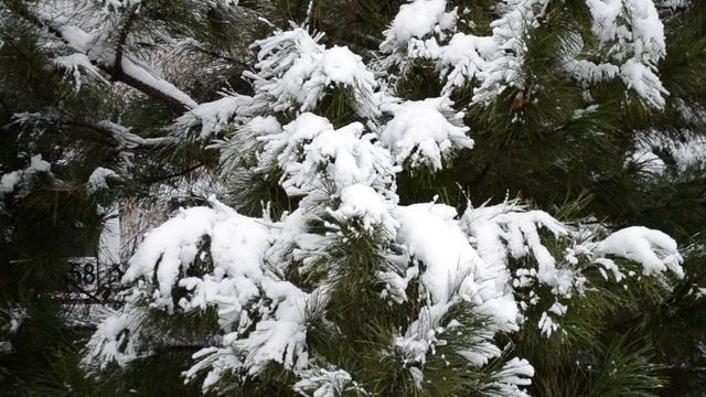 31=12=2025 (4) КМР СДХ смотреть онлайн