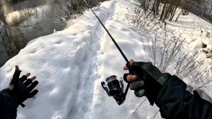 Мормышинг. Новогодний Окунь 2026.