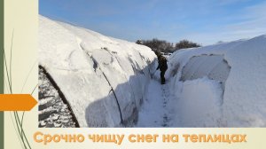 Чищу теплицы от снега