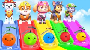 МУЛЬТИК ЩЕНЯЧИЙ ПАТРУЛЬ НА ЦВЕТНЫХ ГОРКАХ