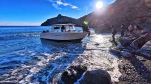 КРЫМ 2026 Погодка супер. Что происходит сегодня на курорте. Толпы людей! Новый Свет