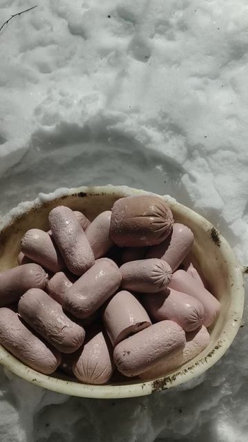 Праздничный ужин у собак!