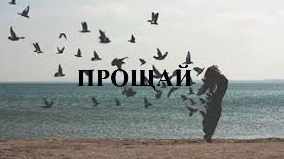 ПРОЩАЙ видео (из серии "СТИХИ")