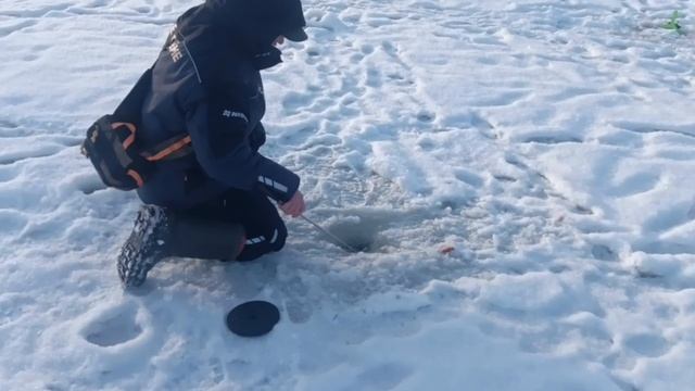 1000137192.mp4 смотреть онлайн