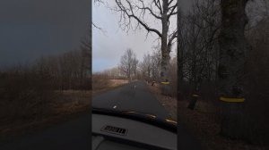 Бункер в поле и старая кирха, разведка двух рек для сплава. Калининградская область.