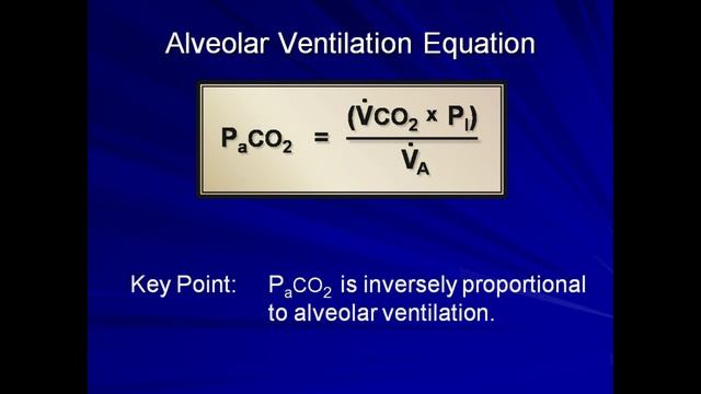 4_Normal Gas Exchange (Mechanical Ventilation - Lecture 4) Eric Strong смотреть онлайн