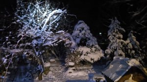 Новогоднее убранство, душистый можжевельник и синий вечер