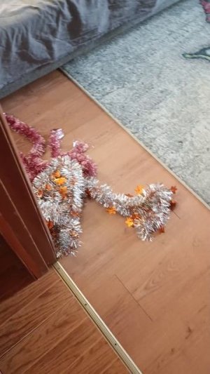 ПЕРВОЕ ЯНВАРЯ