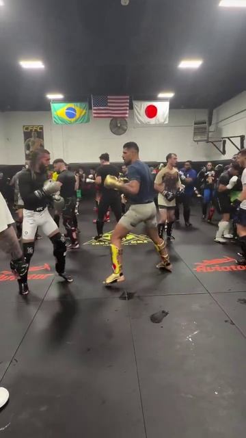 Алекс Перейра подсекает, что соперник даже не успевает среагировать смотреть онлайн