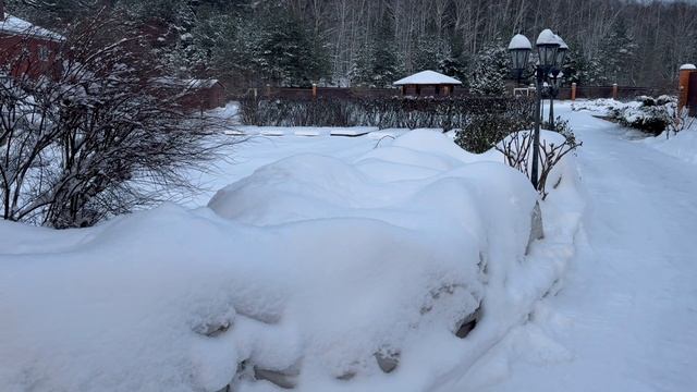 С Новым 2026 годом!!! Желаю счастья, удачи и крепкого здоровья. Красивых роз в наших садах 🌹🌹🌹 смотреть онлайн