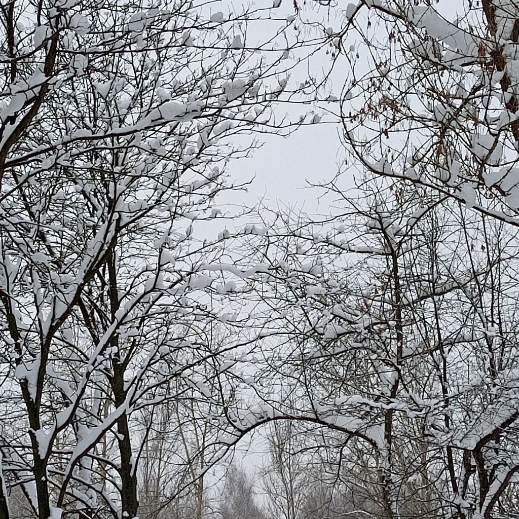 мой АК В лайке смотреть онлайн