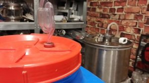 Быстрые, как ракета? Тестируем дрожжи Мишка гонит Коме