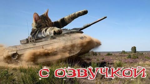 Приколы с котами! КОТЫ ТАНКИСТЫ! Самые смешные животные С ОЗВУЧКОЙ! смотреть онлайн