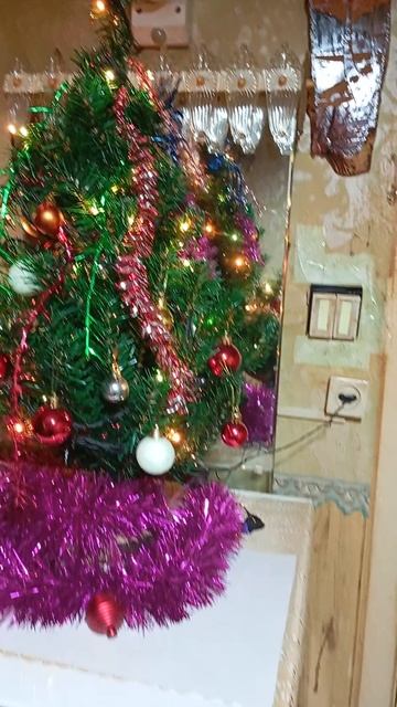 С Новым 2026 г.🇧🇾.mp4