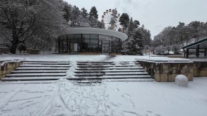 Кисловодск. 1 января 2026 г. Курортный бульвар, парк и пр. Ленина.