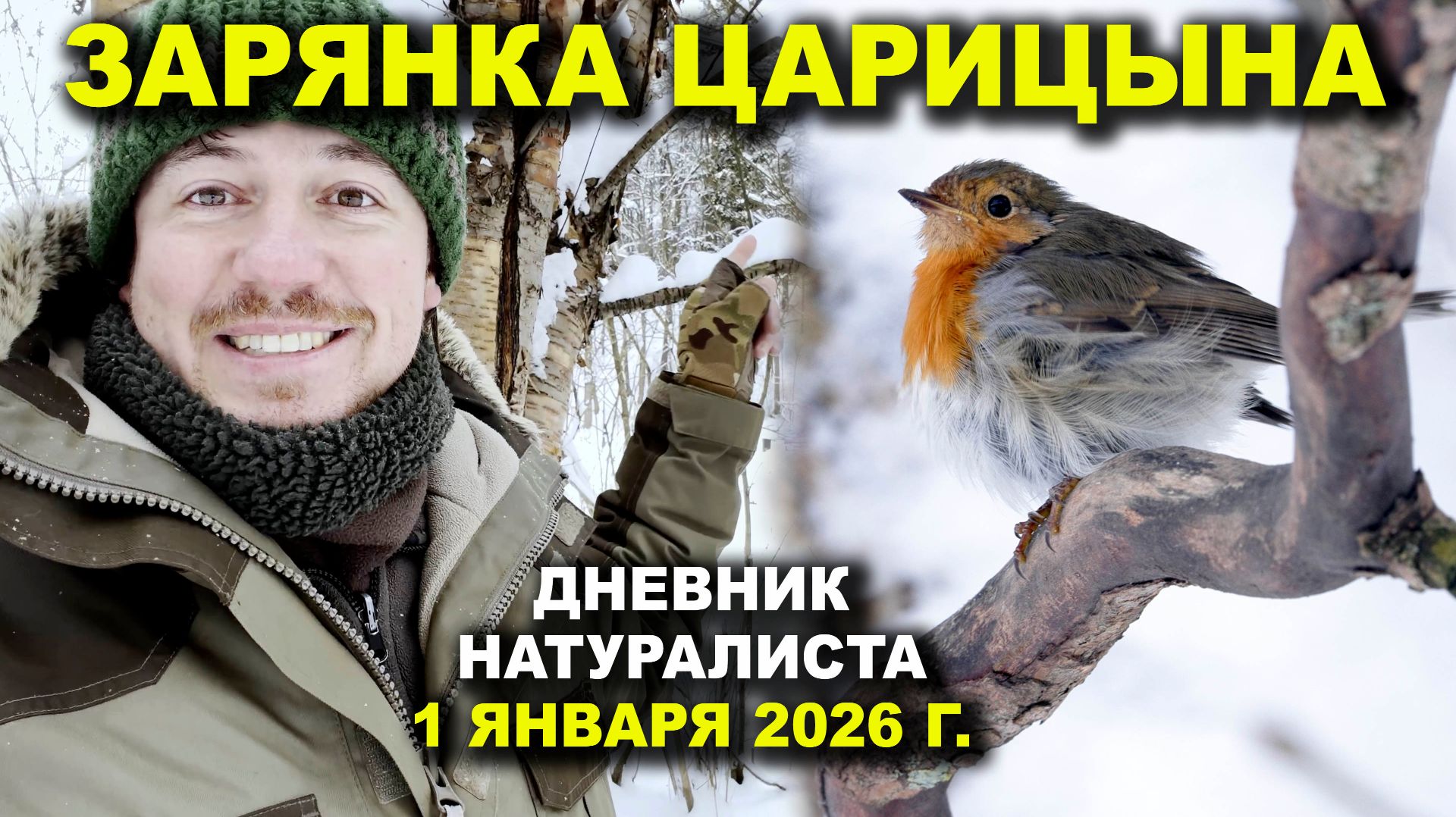 Царицынская Зарянка. 1 января 2026 г. Дневник натуралиста смотреть онлайн