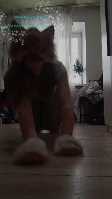 С Новым годом!🥂#квадробика