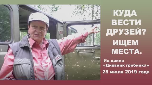 Куда вести друзей? Ищем места.... Дневник грибника 25 июля 2019 года смотреть онлайн