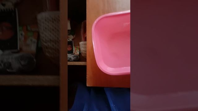 новый Реборн ?