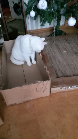 Милка помогает готовить каропки 1