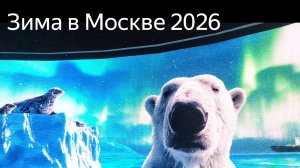 Новый 2026 год в Москве. Зимнее  световое шоу  на Воробьёвых горах.