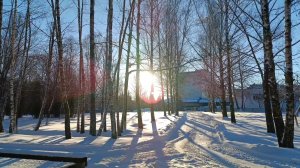 ЯНВАРСКАЯ ЛАЗУРЬ В БЕЛАРУСИ