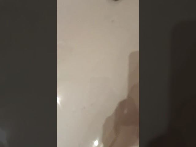 15 ноября 2022 г. смотреть онлайн