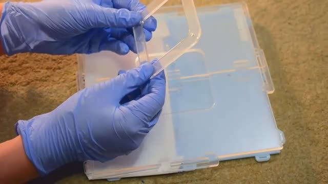 Посылка. Распаковка. Сборка формикария. Понерин Хаус. смотреть онлайн