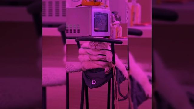 Вот такой я бодрый ворвался в 2026 год.