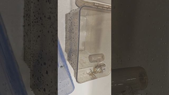 Чищу ведра в моющем пылесосе паровой шваброй