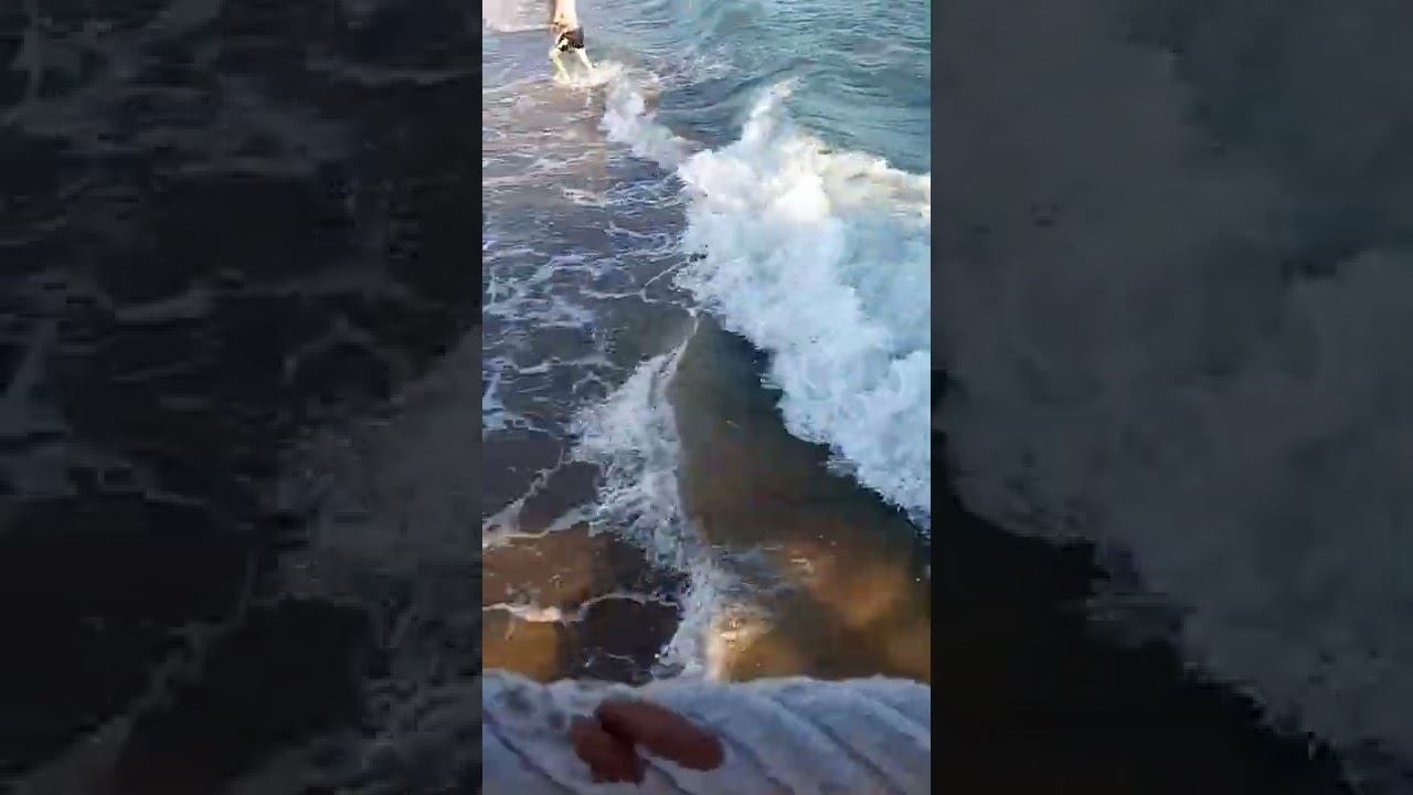 воны смотреть онлайн