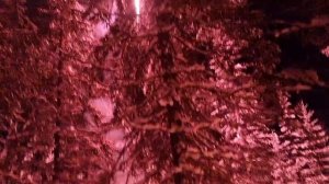 Не бойтесь