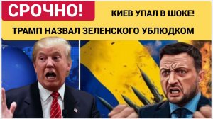 КИЕВ В ШОКЕ! ТРАМП  ПУБЛИЧНО НАЗВАЛ ЗЕЛЕНСКОГО УБЛЮДКОМ НА КАМЕРУ! УКРАИНА В УЖАСЕ ЧТО БУДЕТ