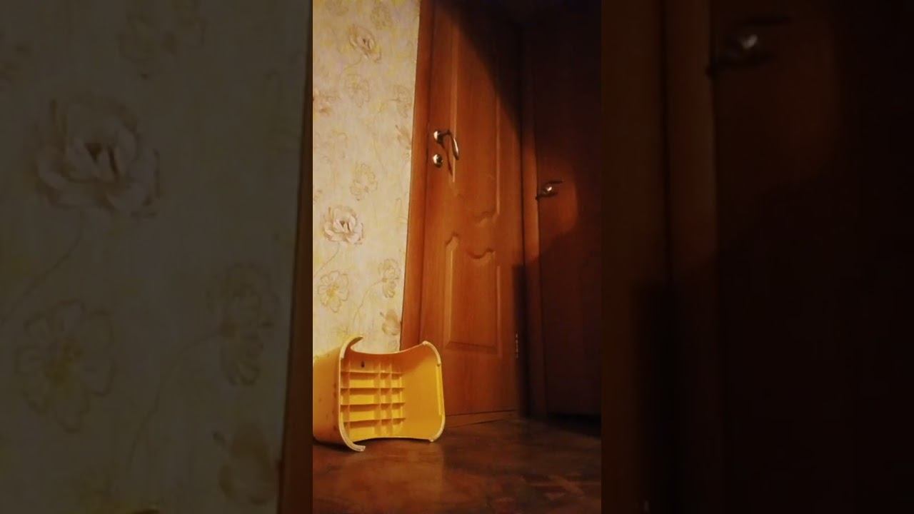 25 октября 2022 г. смотреть онлайн