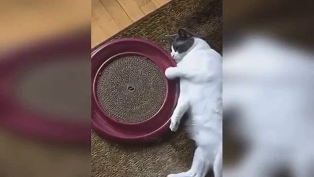 Запах водки Вам противен смотреть онлайн