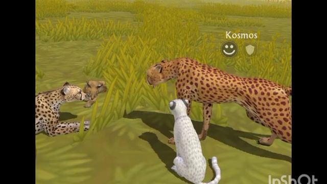 Мини фильм Wildcraft "Не такая как все" 9 серия смотреть онлайн